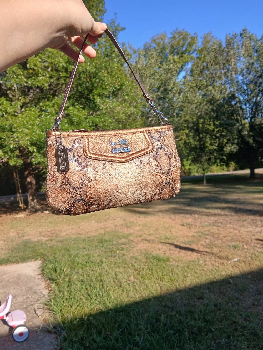 Coach Python and Sequin Print Mini Bag
